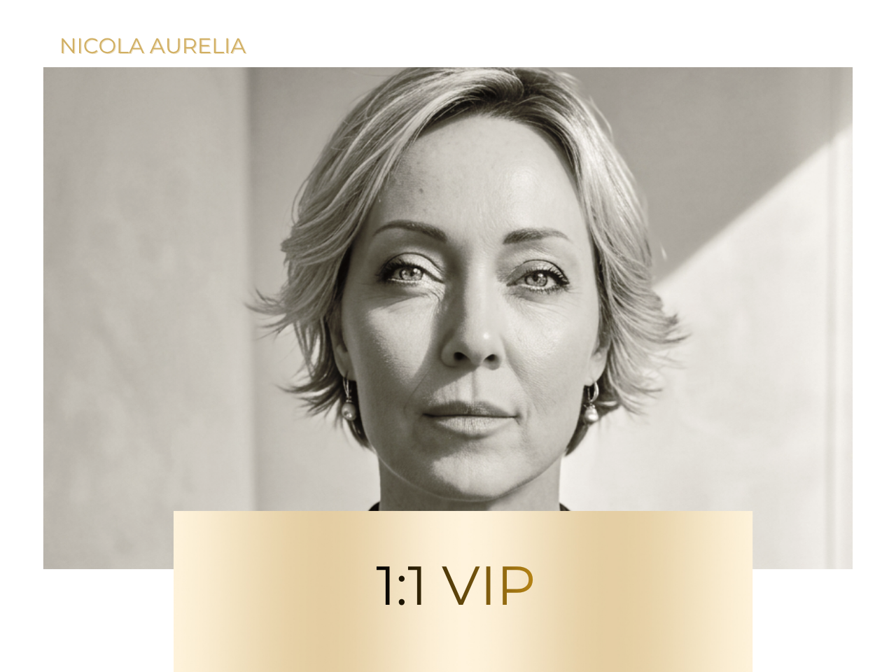 1:1 VIP